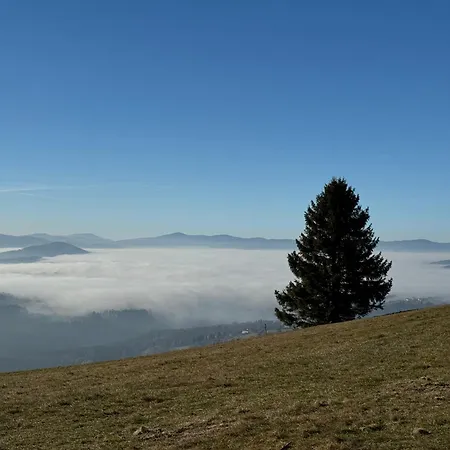 Holiday home Montini - Z Jacuzzi Na Gorze Ochodzita *